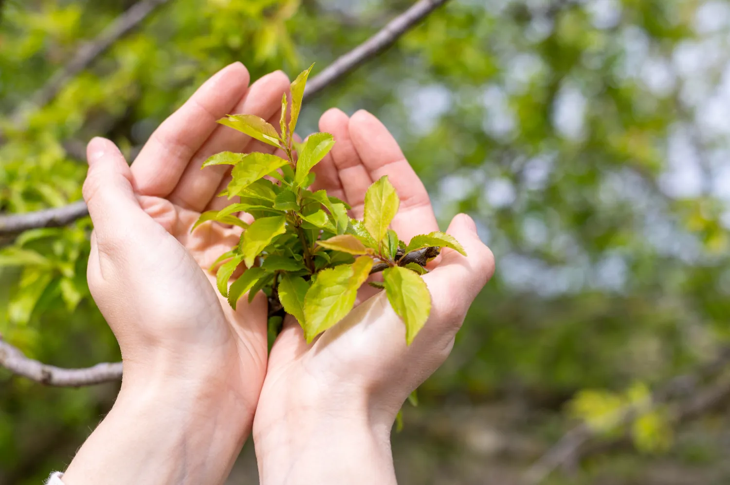 Comment nous intègrons l’écologie dans nos projets